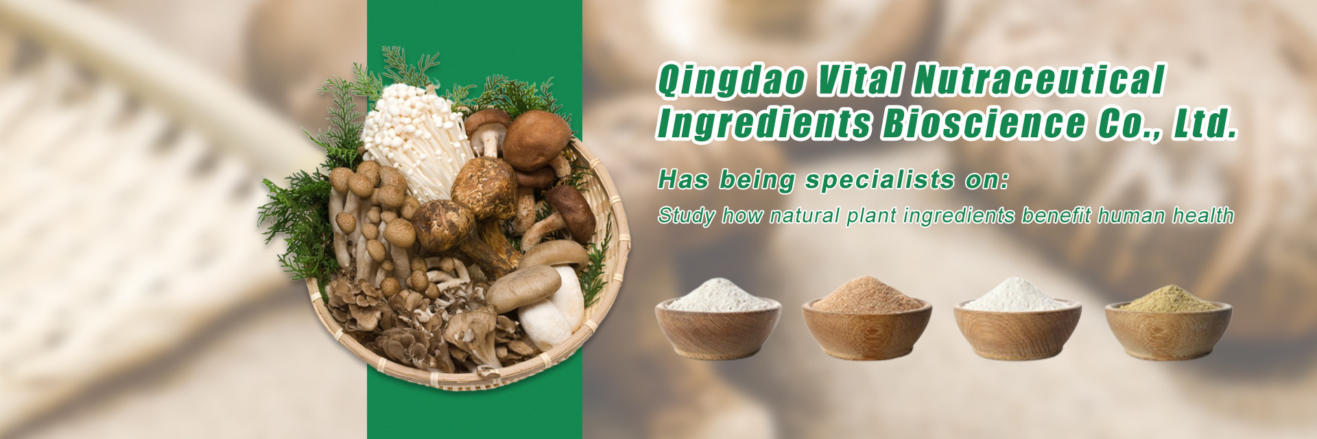 quality Plant Herbal Extract factory