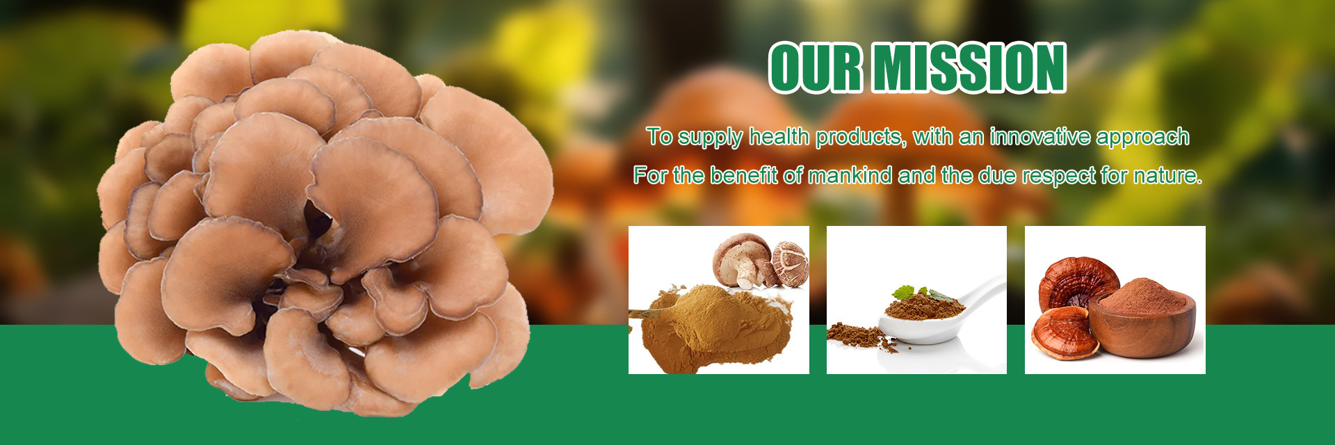 quality Plant Herbal Extract factory