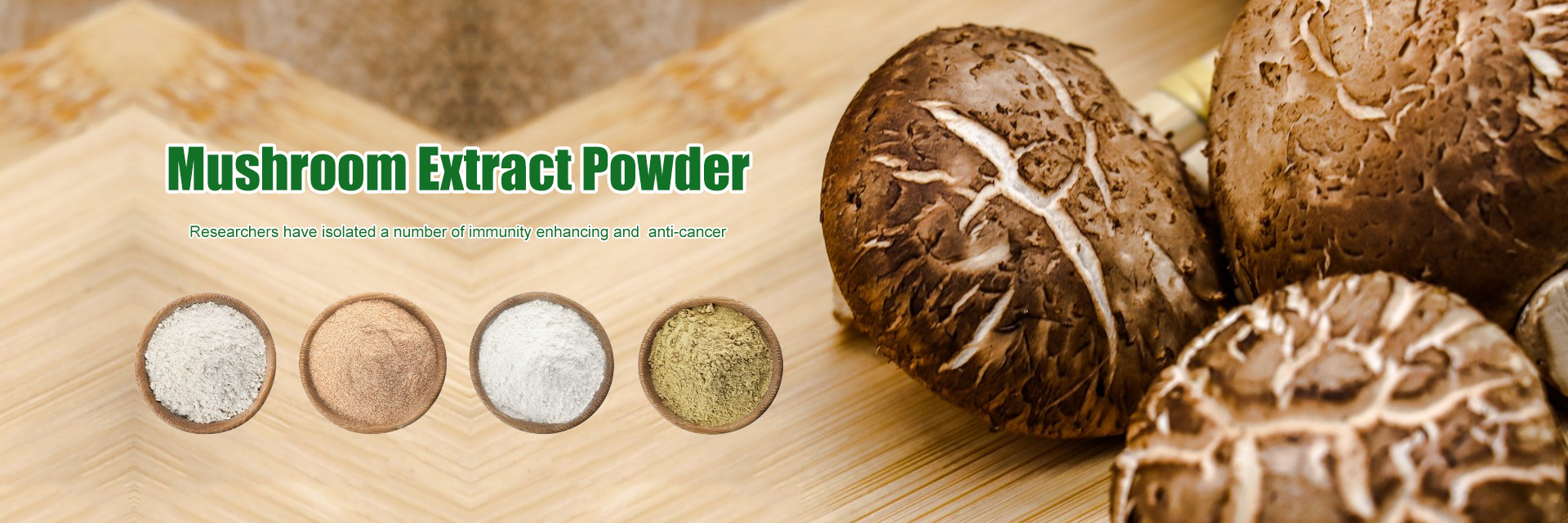 quality Plant Herbal Extract factory