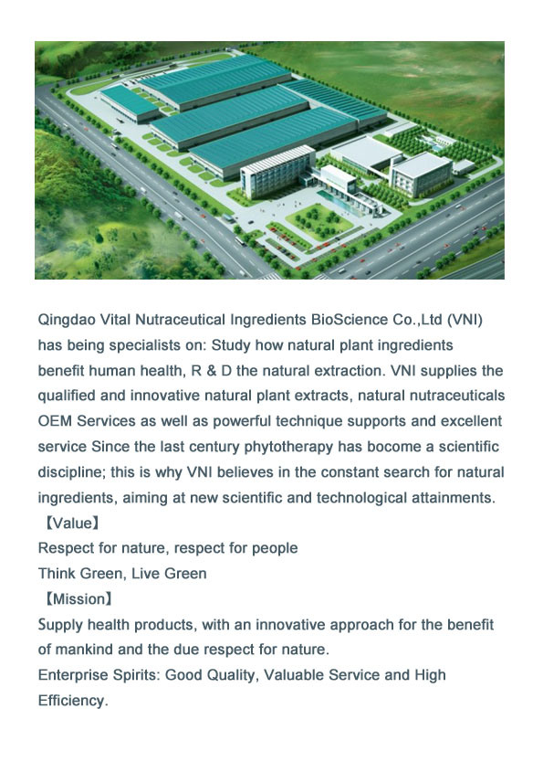 Natural Luo Han Guo Powder 3
