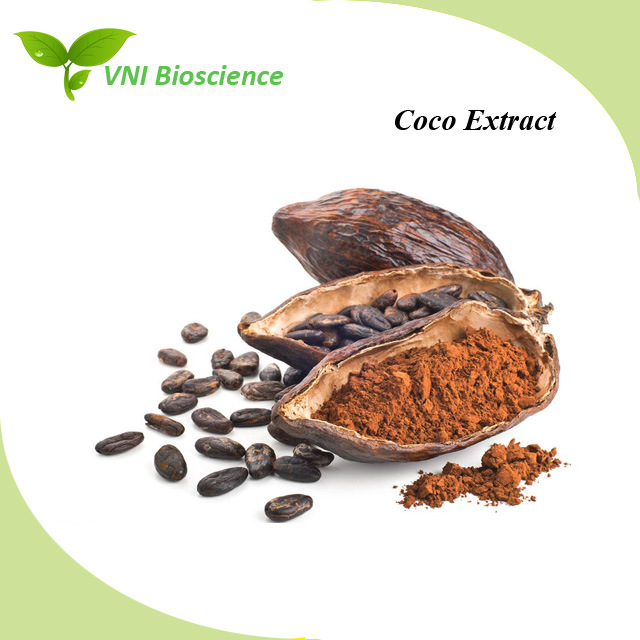 OEM Cocoa Bean Extract Supplement Theobroma Cacao Extract Theobromine